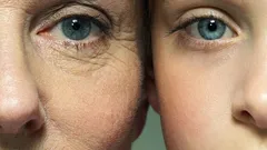 Warum verändert sich die Haut trotz guter Pflege und was kann eine Creme wirklich bewirken?